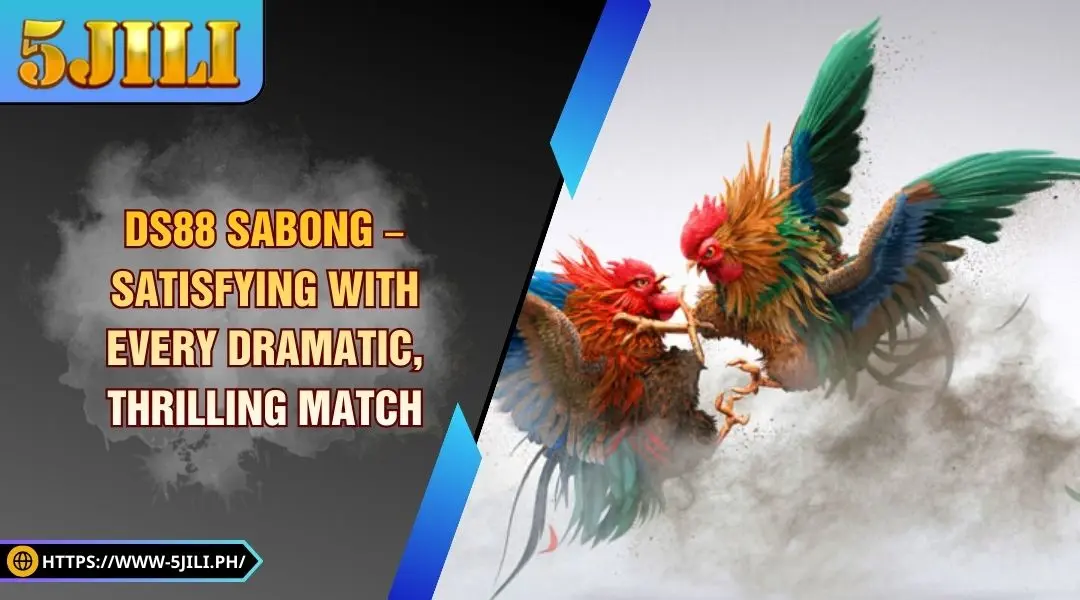 DS88 Sabong – Satisfying with Every Dramatic, Thrilling Match
