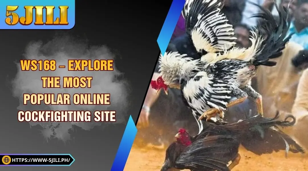 WS168 – Explore the Most Popular Online Cockfighting at 5JILI